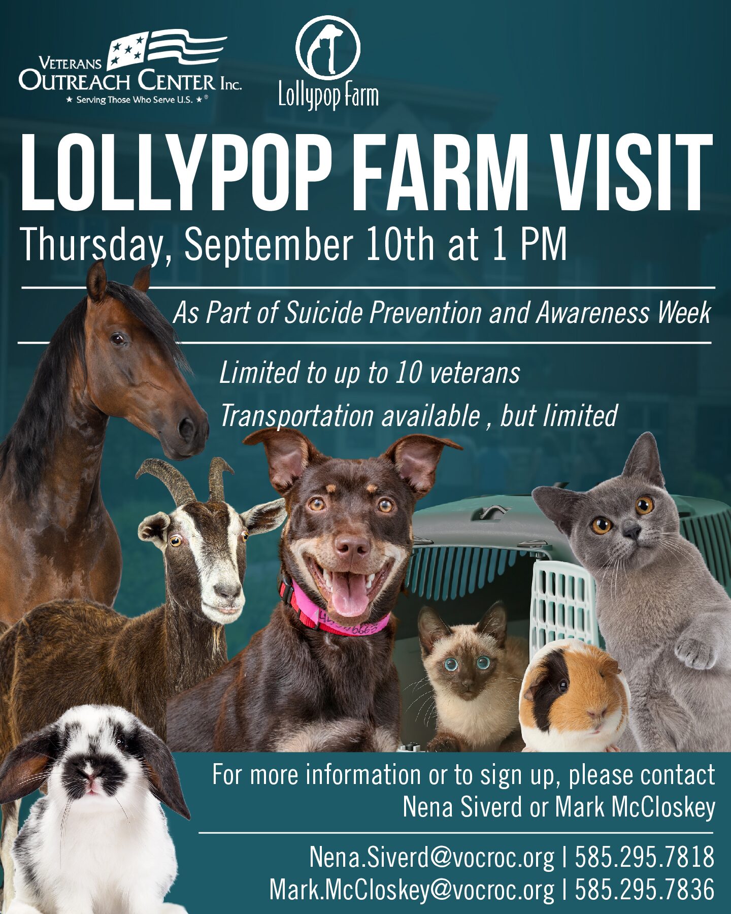 Lollypop Farm Visit